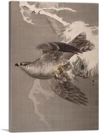 Hawk Holding a Small Bird-1-Panel-60x40x1.5 Thick