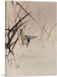 Bird Catching Fish Among Reeds-1-Panel-26x18x1.5 Thick