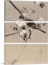 Birds On a Flowering Branch-3-Panels-90x60x1.5 Thick