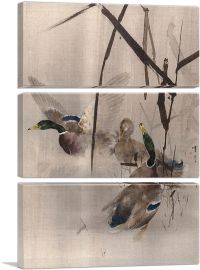 Ducks In The Rushes-3-Panels-60x40x1.5 Thick