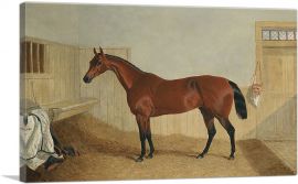 William Orde's Bay Filly Beeswing in a Stable-1-Panel-18x12x1.5 Thick