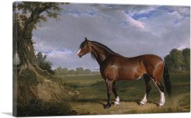 A Clydesdale Stallion-1-Panel-18x12x1.5 Thick