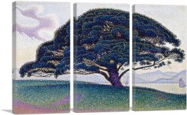 The Bonaventure Pine 1893-3-Panels-60x40x1.5 Thick