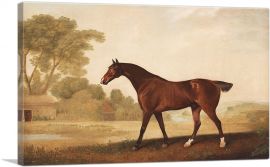 Eagle - A Bay Racehorse-1-Panel-18x12x1.5 Thick