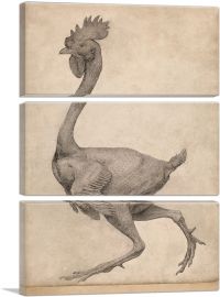 Fowl - Lateral View with Most Feathers Removed 1806-3-Panels-60x40x1.5 Thick