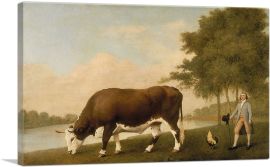 The Lincolnshire Ox-1-Panel-12x8x.75 Thick