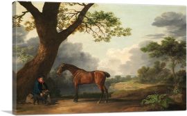 The Third Duke of Dorset's Hunter with a Groom and a Dog 1768-1-Panel-18x12x1.5 Thick