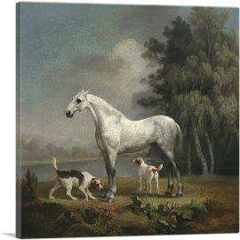 A Dapple Grey Hunter with Two Foxhouds-1-Panel-12x12x1.5 Thick