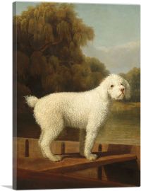 White Poodle in a Punt 1780-1-Panel-26x18x1.5 Thick