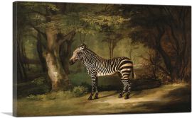Zebra 1763-1-Panel-40x26x1.5 Thick