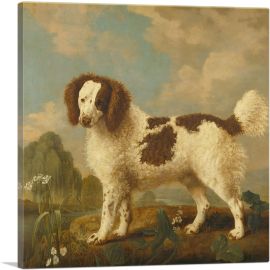Brown and White Norfolk - Water Spaniel 1778-1-Panel-18x18x1.5 Thick