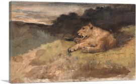 A Lioness Resting-1-Panel-26x18x1.5 Thick