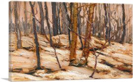 Winter Sunset Algonquin Park-1-Panel-18x12x1.5 Thick