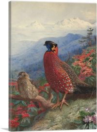 A Pair Of Satyr Tragopans 1912-1-Panel-12x8x.75 Thick