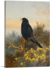 Blackbird 1920-1-Panel-40x26x1.5 Thick