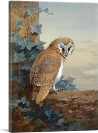 A Barn Owl 1916-1-Panel-26x18x1.5 Thick