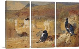 Blackcock In a Field-3-Panels-60x40x1.5 Thick