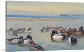 Ducks Along The Shoreline 1921-1-Panel-12x8x.75 Thick