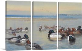 Ducks Along The Shoreline 1921-3-Panels-90x60x1.5 Thick