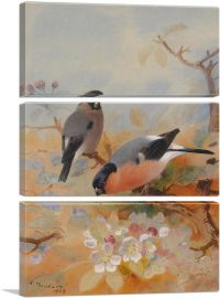 Goldfinches 1908-3-Panels-60x40x1.5 Thick