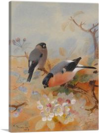 Goldfinches 1908-1-Panel-18x12x1.5 Thick