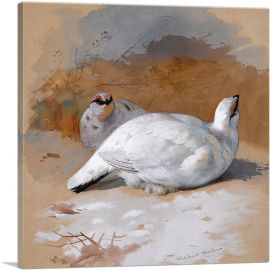 A Brace Of Ptarmigan In The Snow-1-Panel-12x12x1.5 Thick
