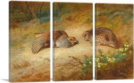 Grey Partridge 1899-3-Panels-60x40x1.5 Thick