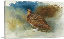 Grouse-1-Panel-12x8x.75 Thick