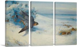 Merlin And Larks 1923-3-Panels-90x60x1.5 Thick