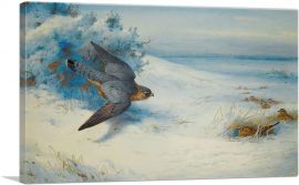 Merlin And Larks 1923-1-Panel-60x40x1.5 Thick