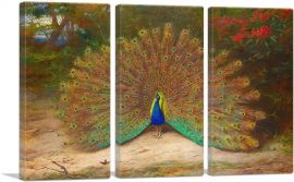 Peacock And Peacock Butterfly 1917-3-Panels-60x40x1.5 Thick