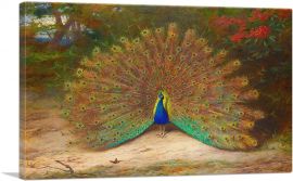 Peacock And Peacock Butterfly 1917