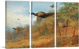 Pheasants Breaking Out Of Cover 1908-3-Panels-90x60x1.5 Thick