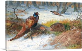 Pheasants In The Snow 1897
