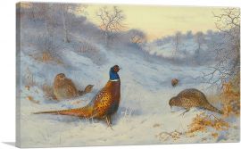 Pheasants In Winter 1909-1-Panel-40x26x1.5 Thick