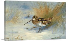 Snipe In The Snow 1923-1-Panel-26x18x1.5 Thick