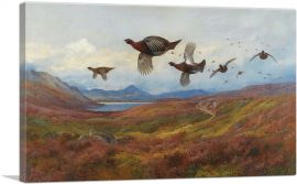 Swerving From The Guns-Red Grouse 1913-1-Panel-12x8x.75 Thick