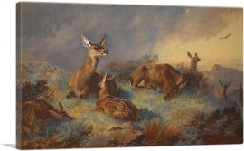 The Watchful Hinds 1895