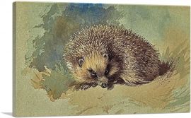 A Hedgehog-1-Panel-26x18x1.5 Thick