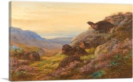 When The Gloaming Comes Red Grouse 1912