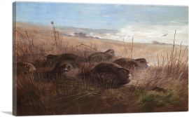 A Moonlight Night In The Open Grey Partridges 1904-1-Panel-12x8x.75 Thick