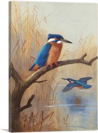 A Pair Of Kingfishers 1914
