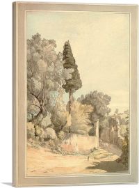 Near The Arco Oscuro Trees 1780-1-Panel-18x12x1.5 Thick