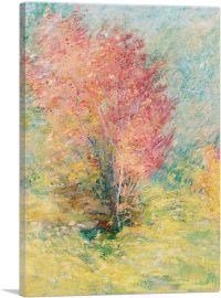 The Red Maple 1890-1-Panel-26x18x1.5 Thick