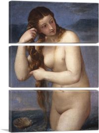 Venus Anadyomene 1520-3-Panels-60x40x1.5 Thick