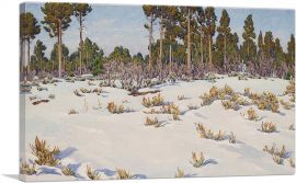 Snow Forest In Grand Canyon-1-Panel-12x8x.75 Thick