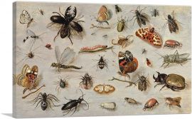 A Study Of Butterflies Moths Spiders And Insects-1-Panel-40x26x1.5 Thick
