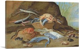 Fish And Shellfish On a Shore-1-Panel-12x8x.75 Thick