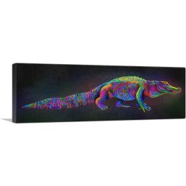 Alligator Colorful Animal