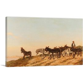 Donkeys In The Midi 1873